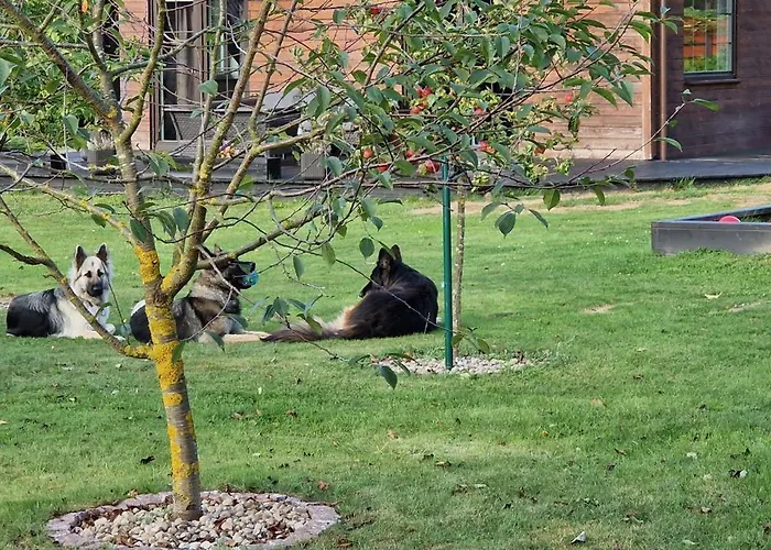 Ostoja Pod Orlami - Dom Villa Kołczewo